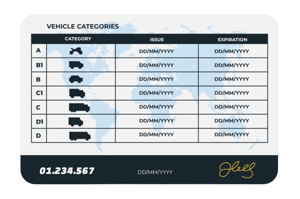 License Back Example
