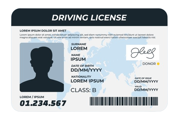 License Front Example
